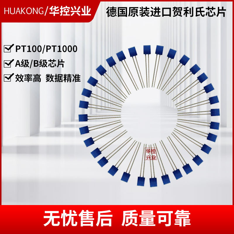 华控德国进口PT100热电阻