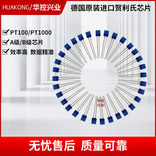 华控德国进口PT100热电阻