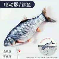 Модель зарядки сома