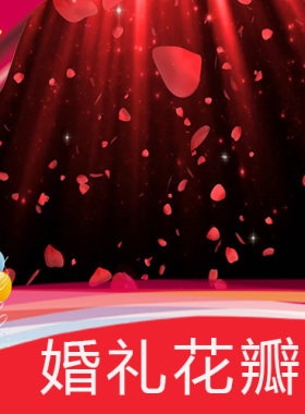浪漫花瓣婚礼背景 唯美红色花瓣 喜庆婚庆 粒子星空 视频素材