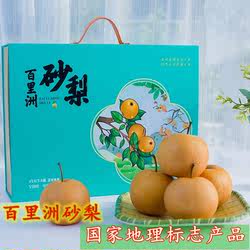 湖北百里洲砂梨礼盒装纯甜翠冠梨当季水果黄花沙梨香雪梨新鲜梨子