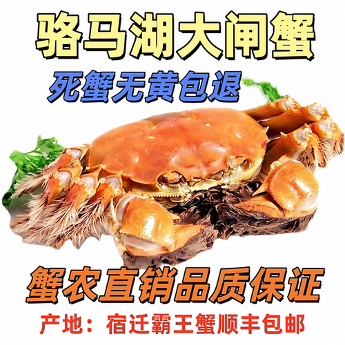 活蟹骆马湖大闸蟹鲜活特大螃蟹全母蟹现货8只10只礼盒装同城闪送