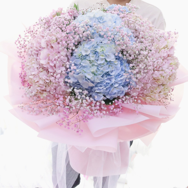8朵绣球济南同城速递鲜花店