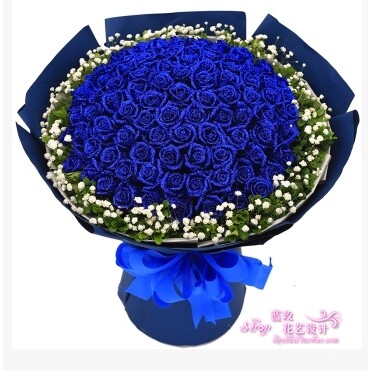 情人节生日鲜花蓝玫瑰花束贵阳鲜花同城速递安顺遵义毕节凯里清镇