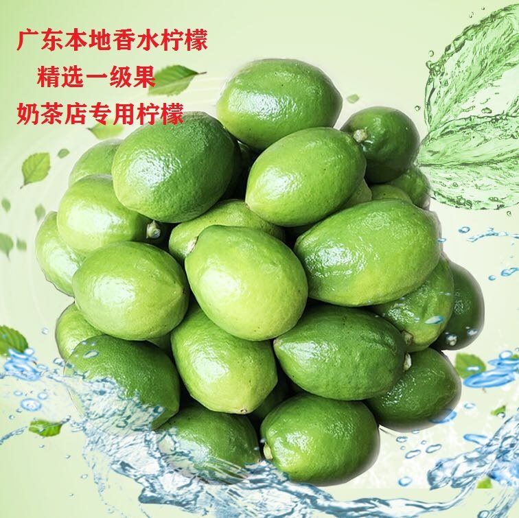 广东香水柠檬新鲜一级无籽果奶茶店专用水果四季青柠檬5斤装包邮
