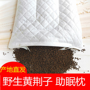 黄荆子枕头枕芯黄金子荆棵荆种子布惊籽布荆仁黄金籽睡眠单填充物