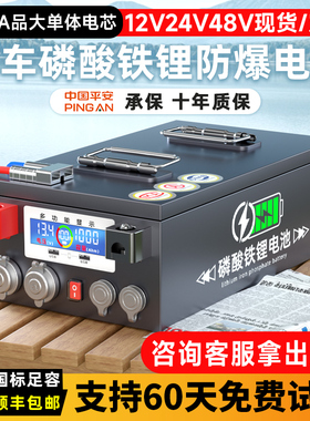 宁德磷酸铁锂电池12V24v48伏大单体电芯房车专用大容量储能电源