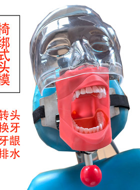 牙科口腔材料牙齿教学模型根管开髓备牙修复贴面牙模型仿真头模