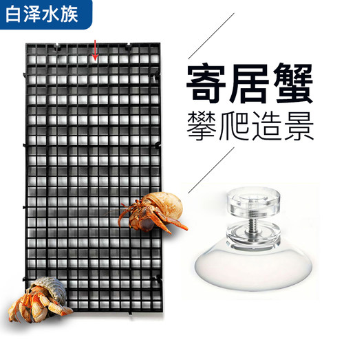 寄居蟹攀爬架造景网格板可拼接裁剪爬台DIY爬梯螃蟹攀爬隔离网格