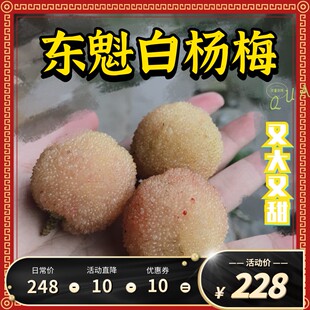 新鲜水果仙居杨梅现摘现发杨梅吐气白杨梅产地直销顺丰孕妇时令