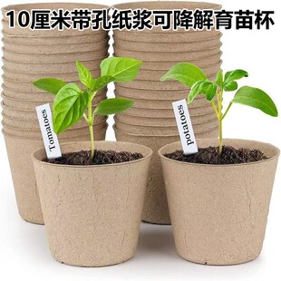 纸浆育苗杯10厘米带孔可降解育苗盘穴盘营养杯营养钵培养盆育种杯