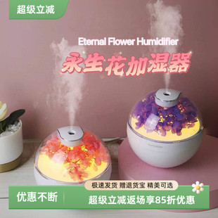 永生花香薰精油床头加湿氛围高颜值加湿器小夜灯一体加湿器香薰机