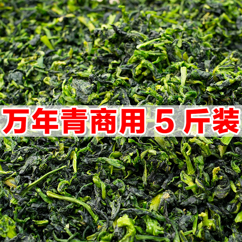 【5斤商用批发】万年青干菜脱水蔬菜青菜干橄榄菜干菜干货嫩菜心