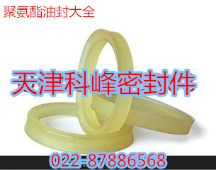 密封件QYd25X33/28X36/30X38X8/32X40X8/35X43X8/40X48X8/45X53X8