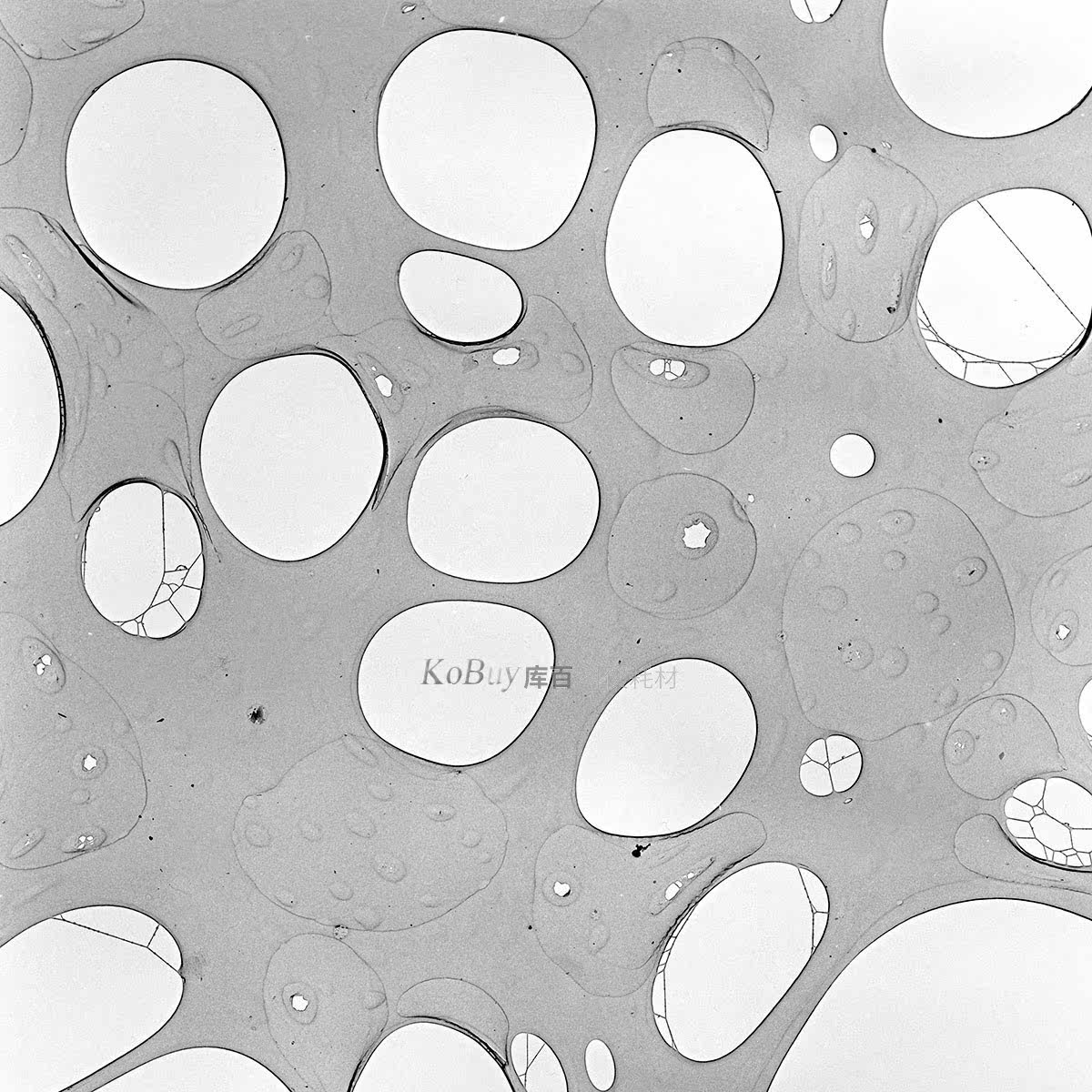 [ KoBuy Library 100] Holey Holes Sertoli membrane Copper network 25 individual/boxin the Lubricating/Tackiness/Reagents/Lab Supplies, Laboratory Equipment, Other Experimental equipment category - from Buy2taobao.com to provide professional Taobao agent buy service