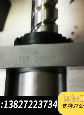 全新库存丝杆导轨 TEF06509全新议价