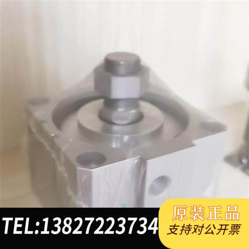 原装正品 原装正品气缸SSD-L-100-20全新议价