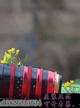 库存改口服务,套改,上色,根焦齿,此价为分享价需询价