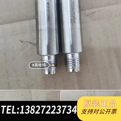 ENTEGRIS 过滤器 WGFGT1PR1 过滤器-需询价
