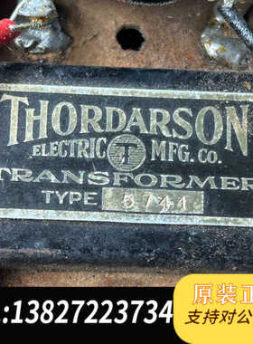 西电THORDARSON输入牛