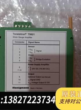 全新原装霍尼希曼Honigmann TS 503测量放大器 RFS1需询价