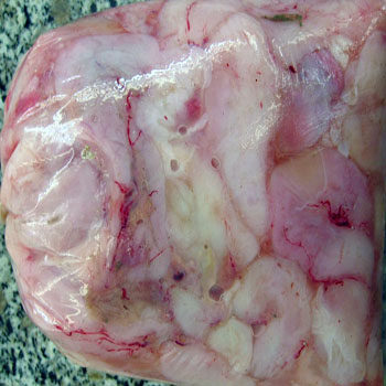 新鲜安康鱼肚  鱼肚  安康鱼肚   鱼肚  鱼肝  鱼杂   新鲜鱼肚