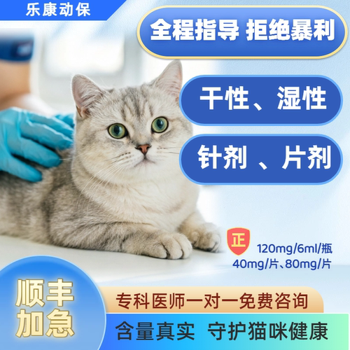 猫咪干的湿的抑制消大腹子