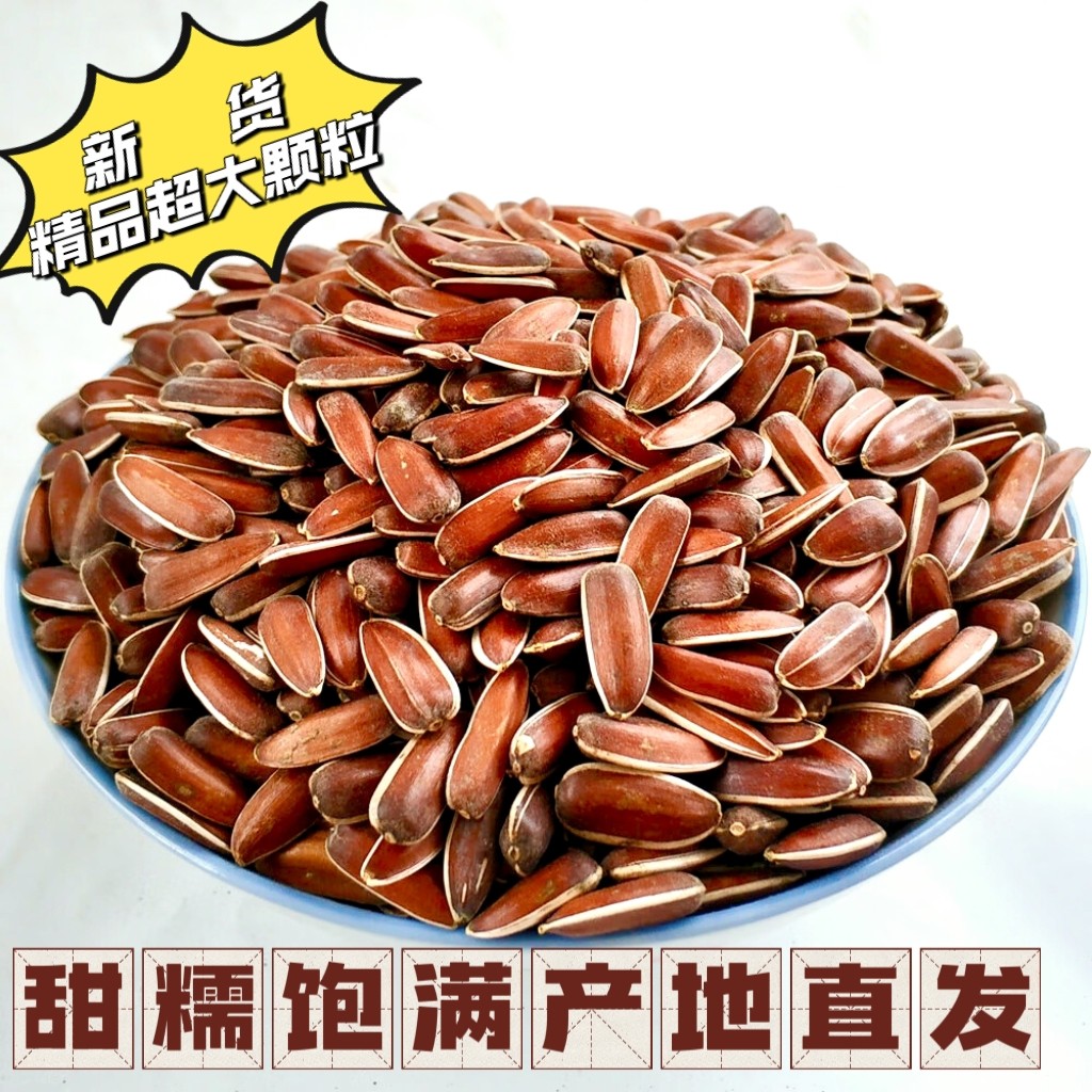 云南特产红皮生瓜子超大颗粒山地葵花籽原味甜糯500g包邮