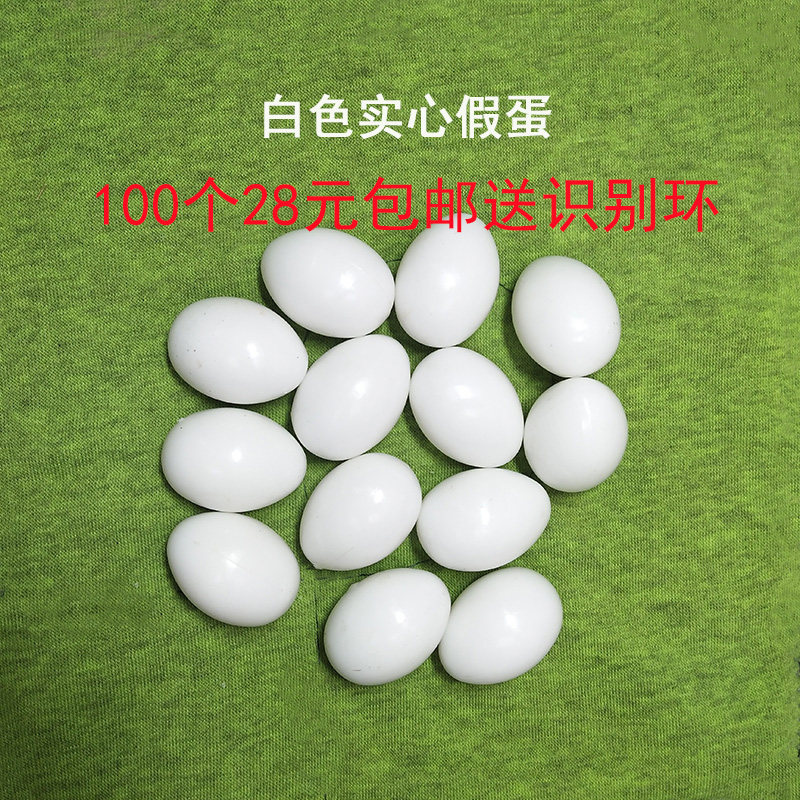 辰科丝网鸽用假蛋鸽子假蛋注水假
