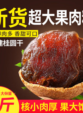 桂圆干2024年新货福建特产14A大果粒龙眼干年货桂圆肉非特级无核