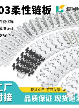 柯诚柔性链板103输送链条耐磨用