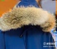新无毛领大鹅chilliwack飞行员夹克狼毛领定做皮草领子单卖2050W