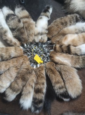 高级皮草美国短尾猫尾巴钥匙链BBA汽车钥匙挂件