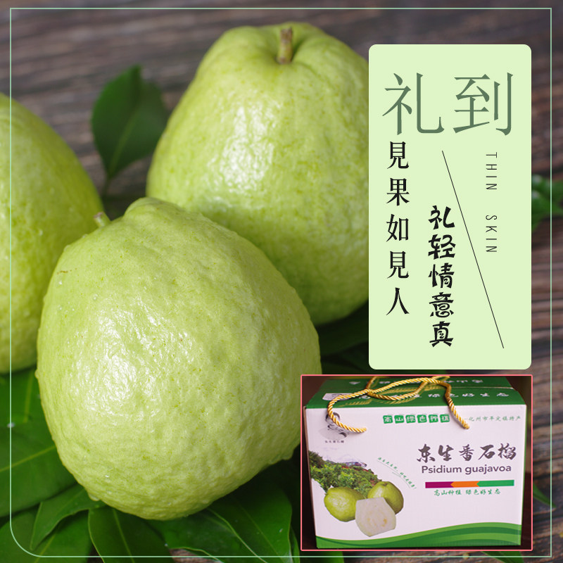 老树番石榴高山甜脆黄金白心芭乐孕妇台湾新鲜水果精品礼盒装包邮