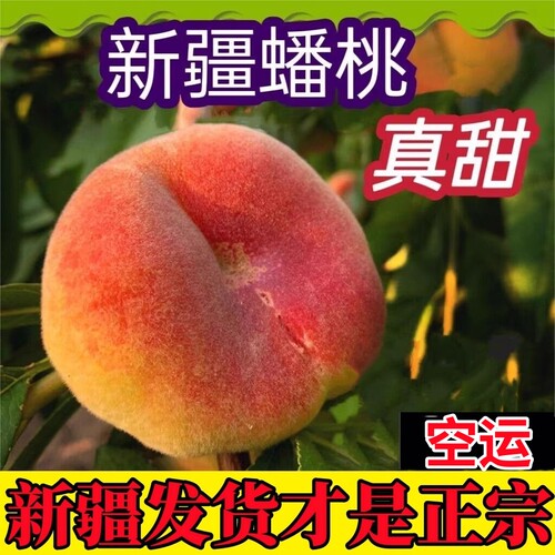 新疆蟠桃桃子新鲜水果现摘孕妇水果应当季胜水蜜桃大果5斤包邮甜