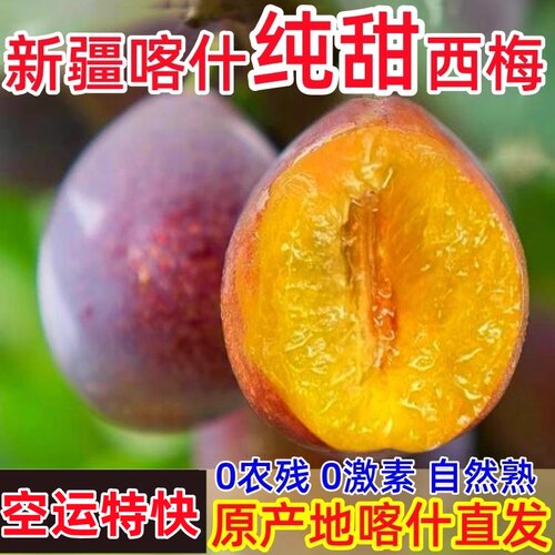 新疆西梅喀什原产地直发