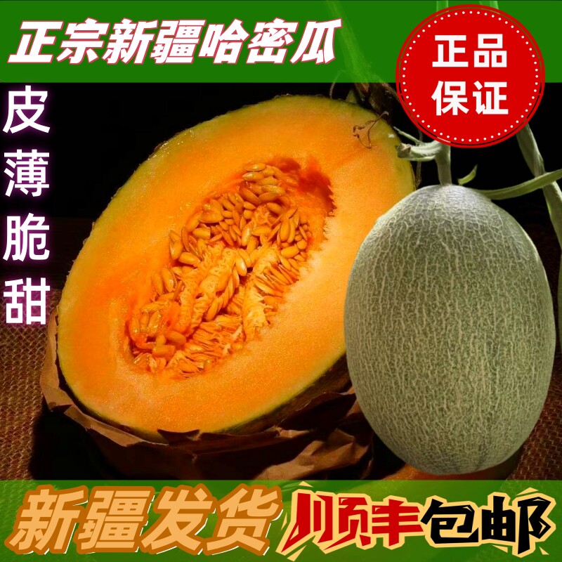 新疆哈密瓜正宗吐鲁番网纹瓜新鲜哈密瓜