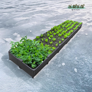 大田楼顶种菜专用箱蔬菜种植箱阳台种菜盆种植箱神器家庭种菜花盆
