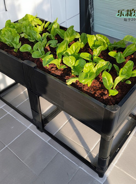 架高种菜盆阳台种植箱长方形特大种菜箱楼顶种菜花架架子CD30