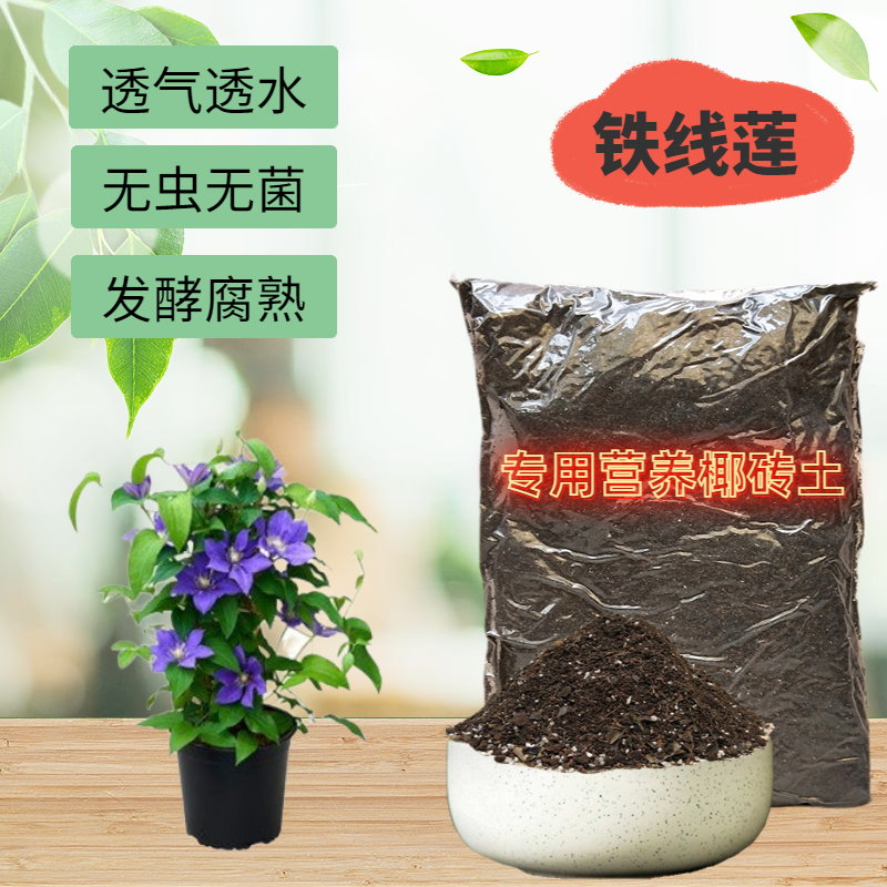 铁线莲专用营养土家用室内盆栽绿植物花卉育苗翻换透气种植椰砖土