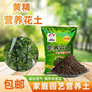 滇黄精苗老虎姜鸡头黄精营养花土盆地栽种植物专用翻换疏松透气土