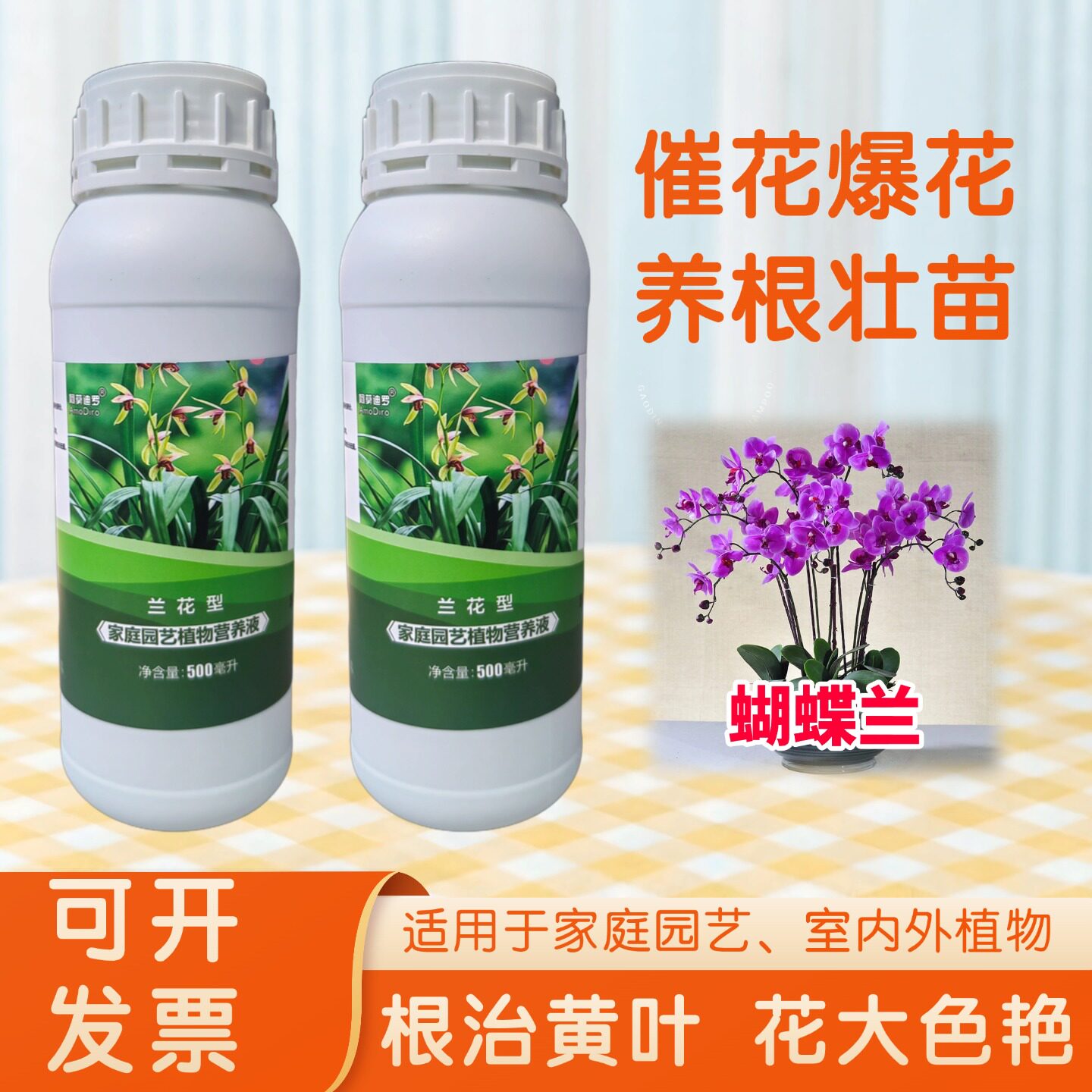 大花蝴蝶兰满天红金元宝浓缩营养液通用型家盆地栽专用水溶性花肥