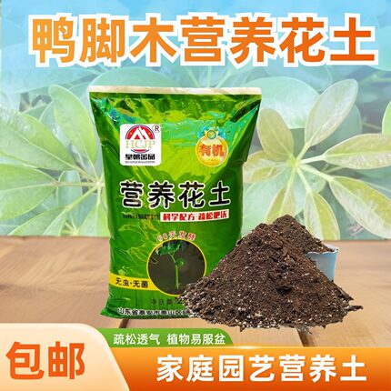 鸭脚木鸭掌木鹅掌柴营养花土阳台盆栽绿植专用疏松透气翻换种植土