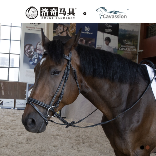 cavassion标准牛皮水勒缰 马术马匹装备 洛奇马具8218055