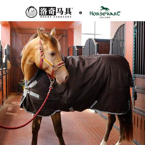 夹棉咖啡色马衣 冬季保暖 250g马术马房HW18041