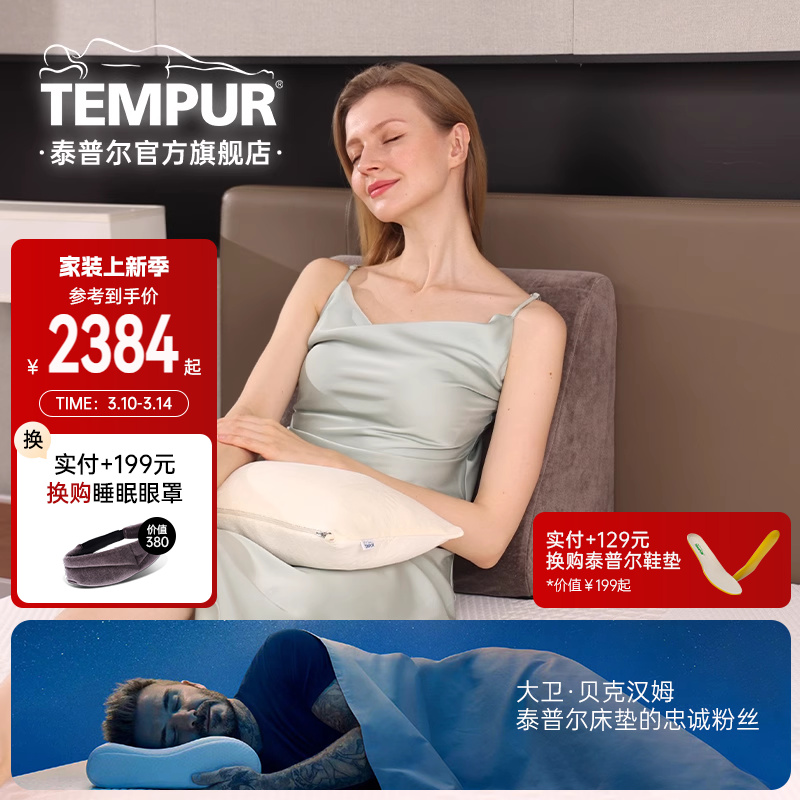 TEMPUR泰普尔欧洲进口记忆棉慢回弹家用成人床用靠垫孕妇靠垫单人