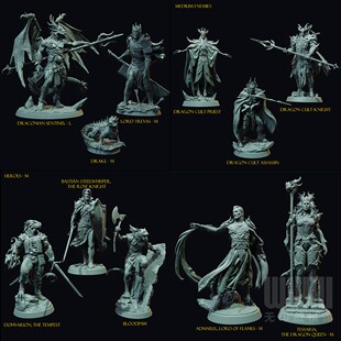 【邪龙教团】人类 龙裔 英雄 术士 骑士 刺客DND桌游跑团战棋模型