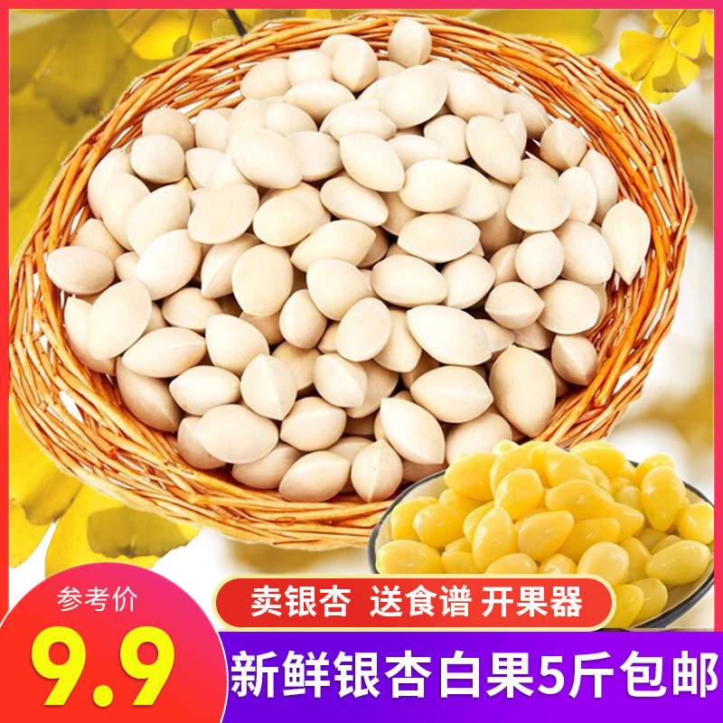 5斤生银煲汤带壳徐州特产杏干