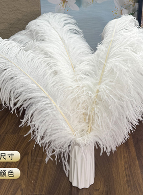 白色鸵鸟毛10-80CM婚庆演出道具