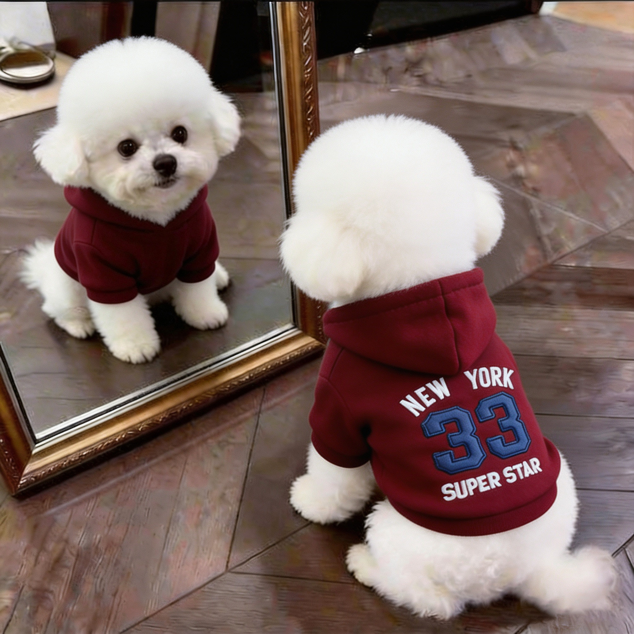 狗新款幼犬春秋小狗外出防脏狗衣服小型犬秋天红色带帽卫衣牵引环